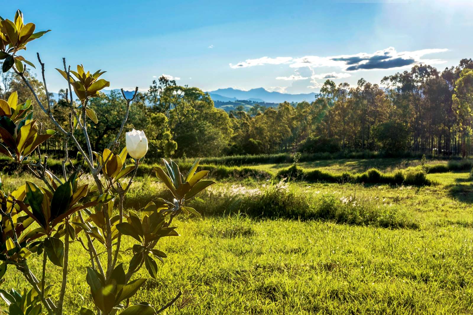 [Land for Sale] Hillview Estate, Boonah OpenLot